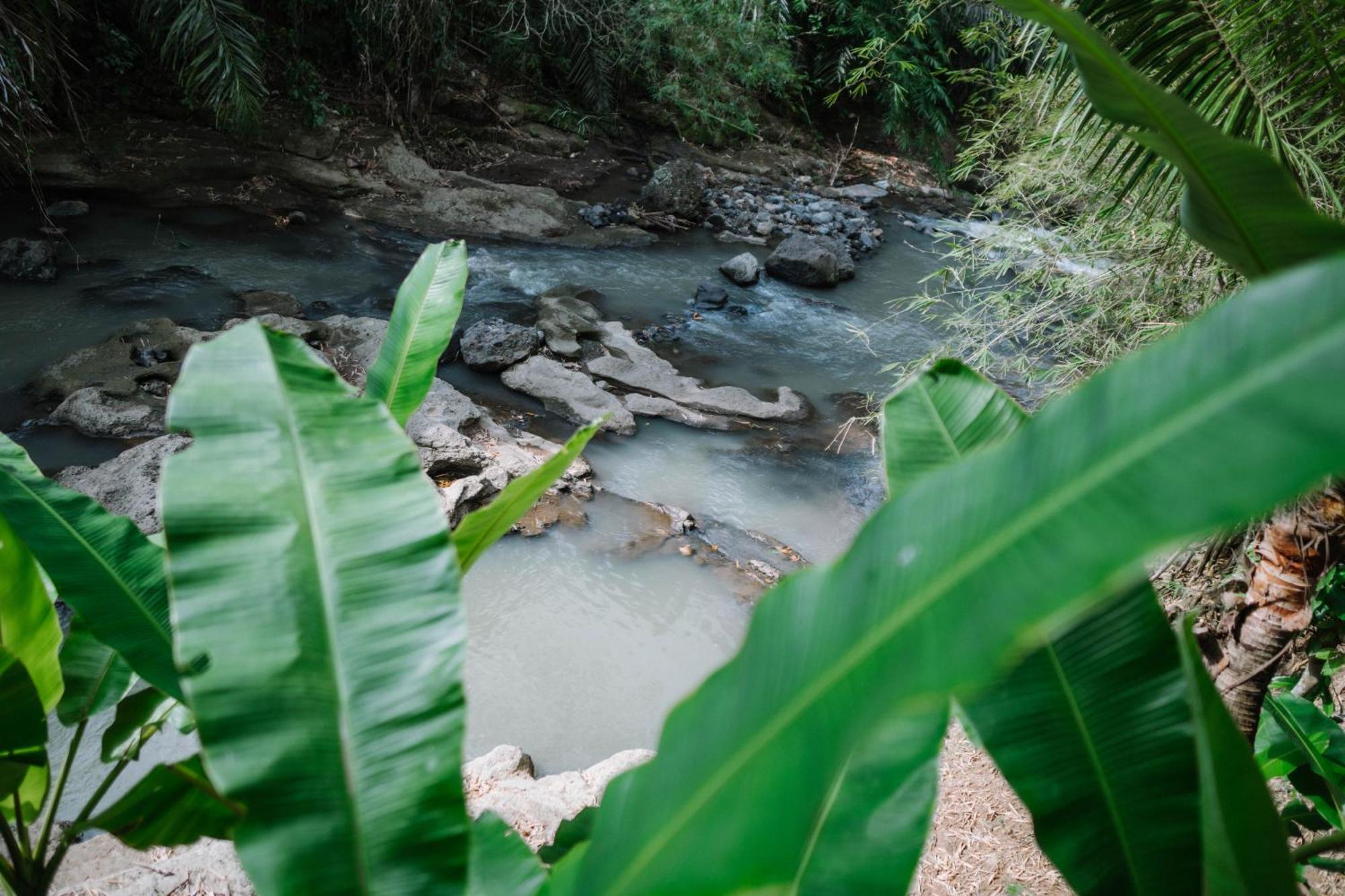 Sun Sang Eco Retreats Hotel Selemadeg Kültér fotó